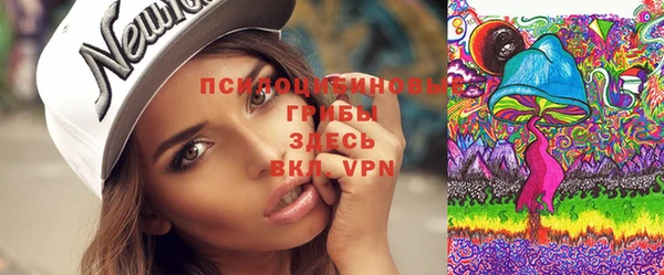 мяу мяу мука Покров